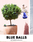 Blue Balls Cockshell