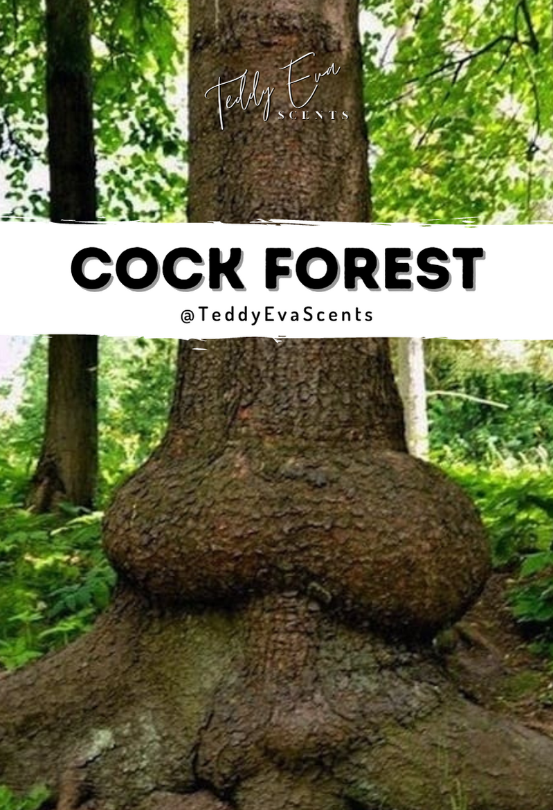 Cock Forest Cockshell