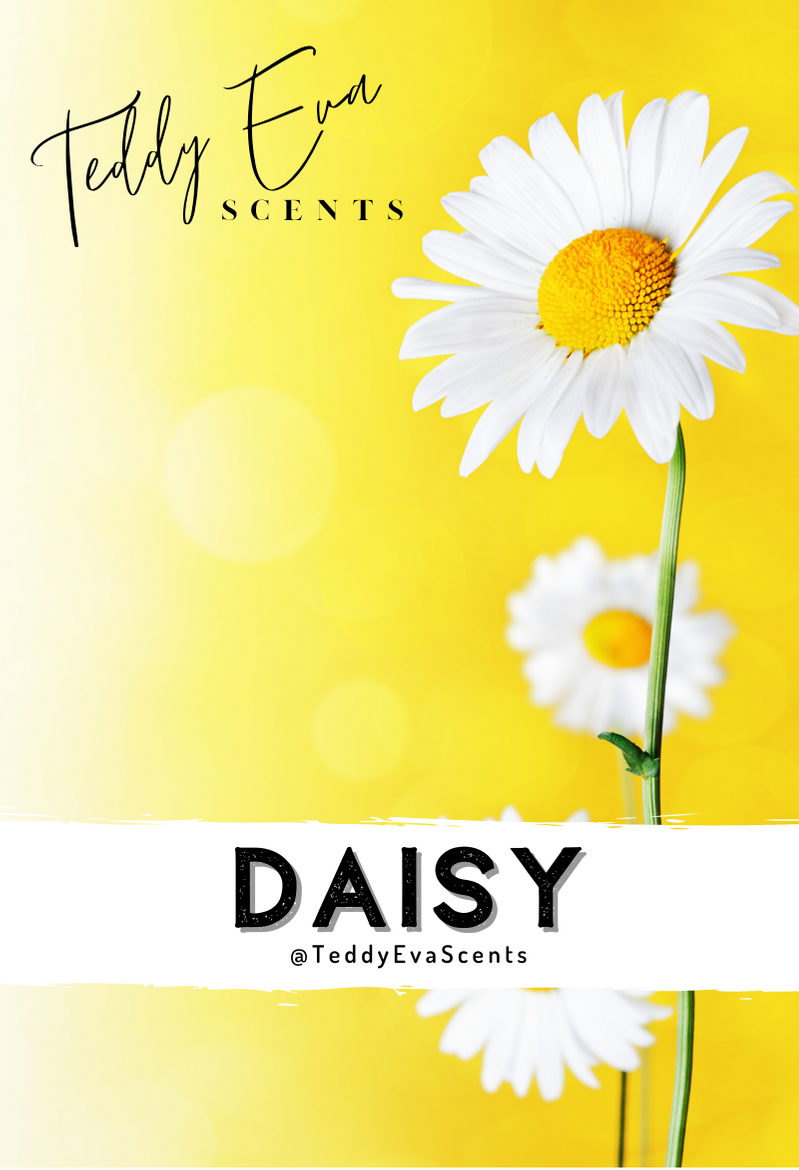 Daisy - Marc Jacobs dupe - Teddy Clamshell wax melt