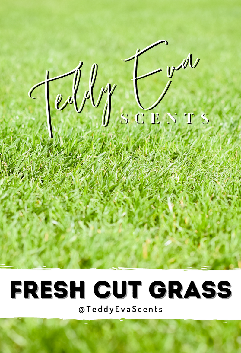 Fresh Cut Grass Teddy Clamshell