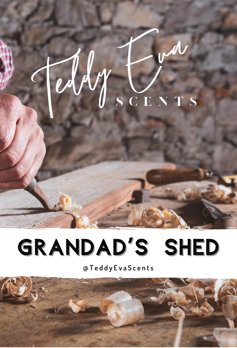 Grandad's Shed Teddy Clamshell