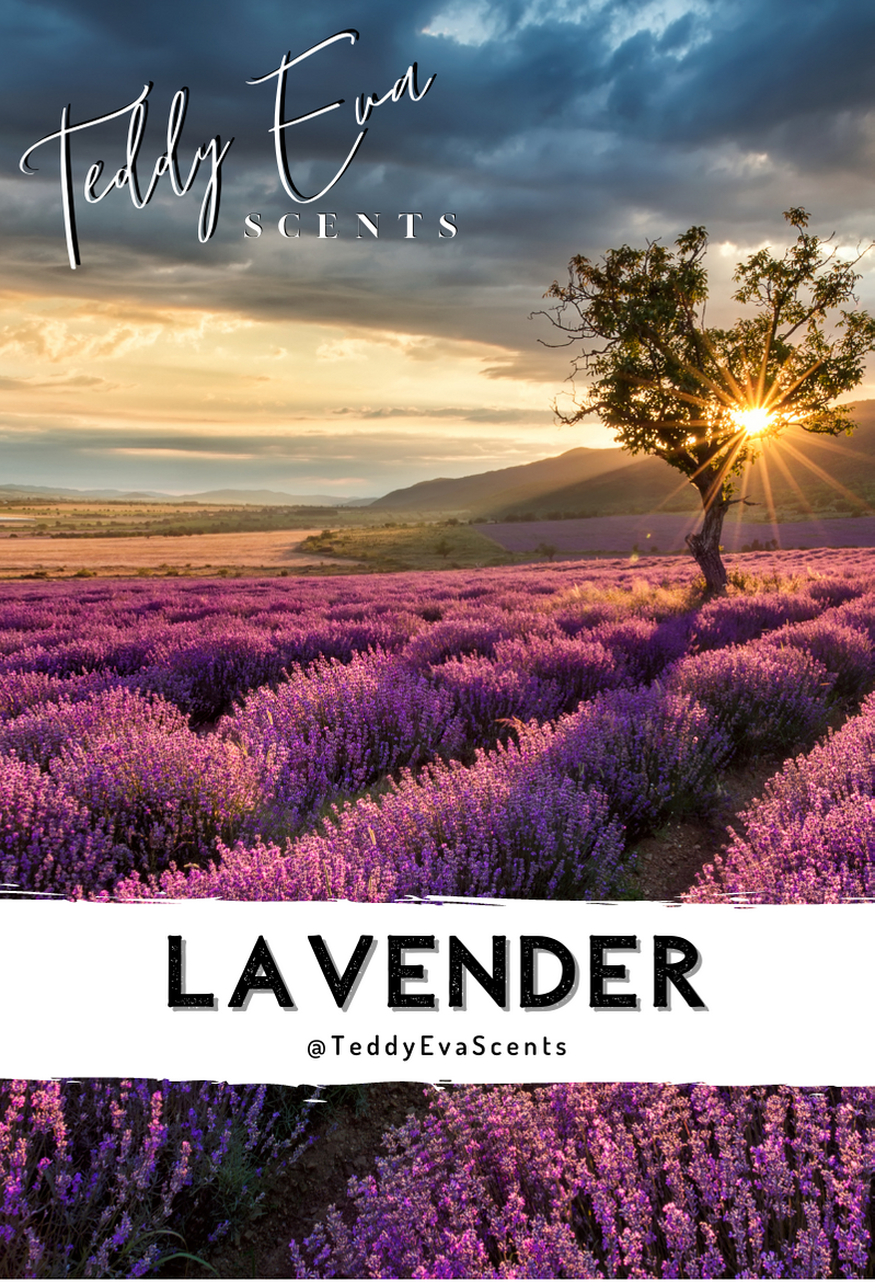 Clamshell Wax Melts Lavender - Wax Melts Ireland