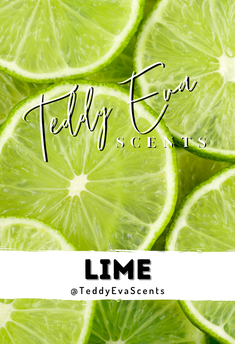 Lime Teddy Clamshell