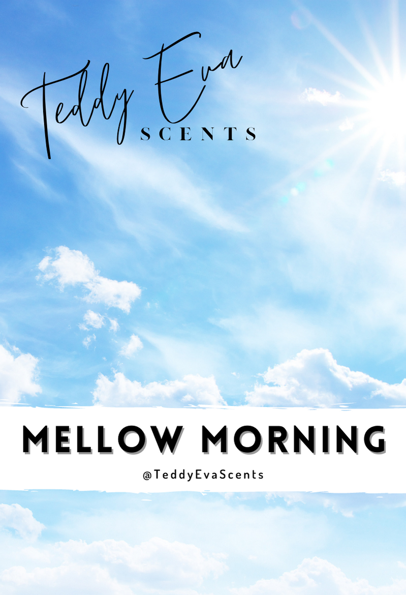 Mellow Morning Teddy Clamshell