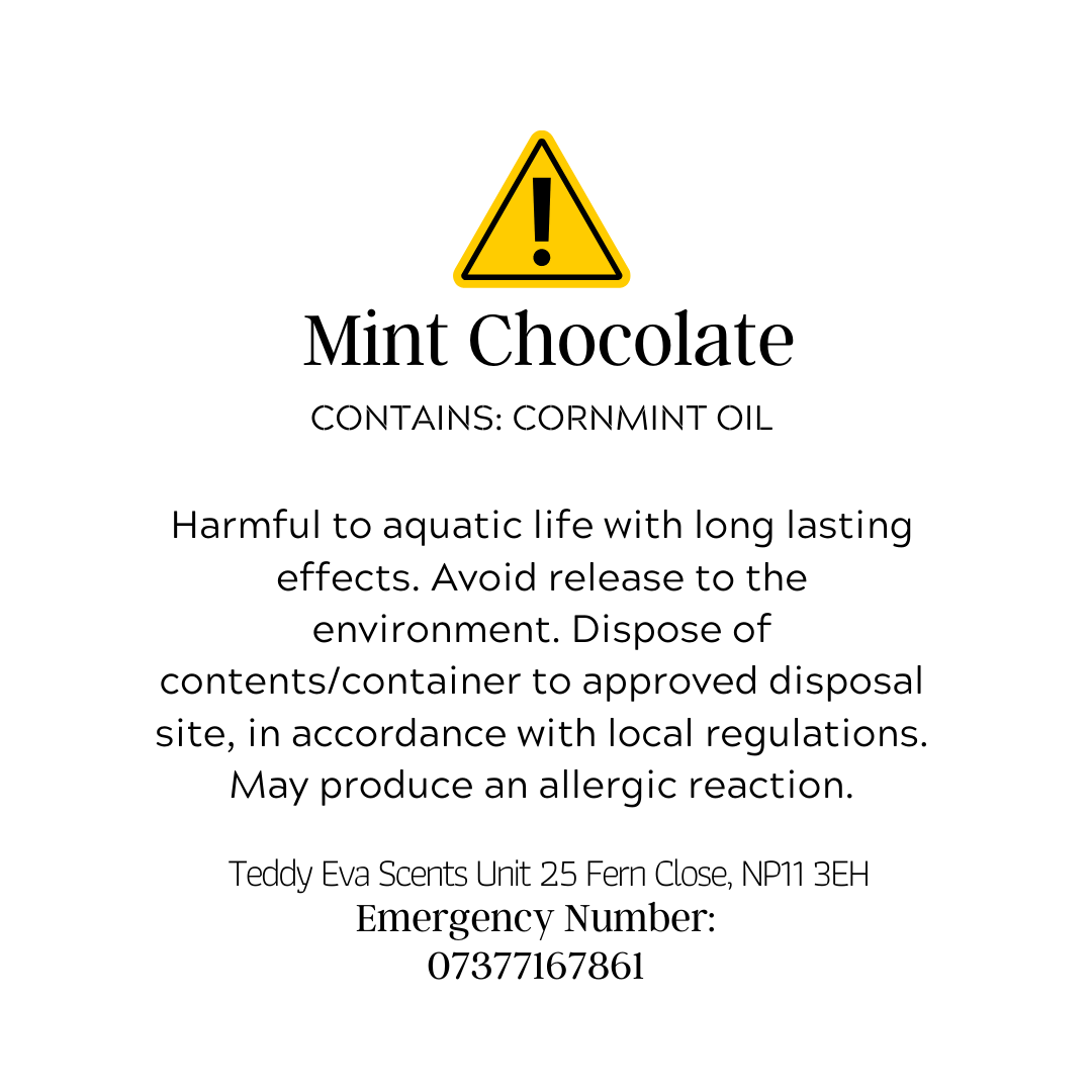 Mint Chocolate Teddy Clamshell