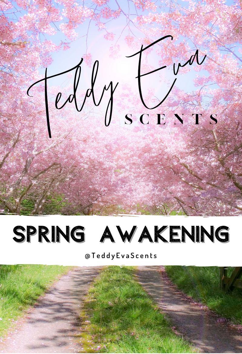 Spring Awakening Teddy Clamshell