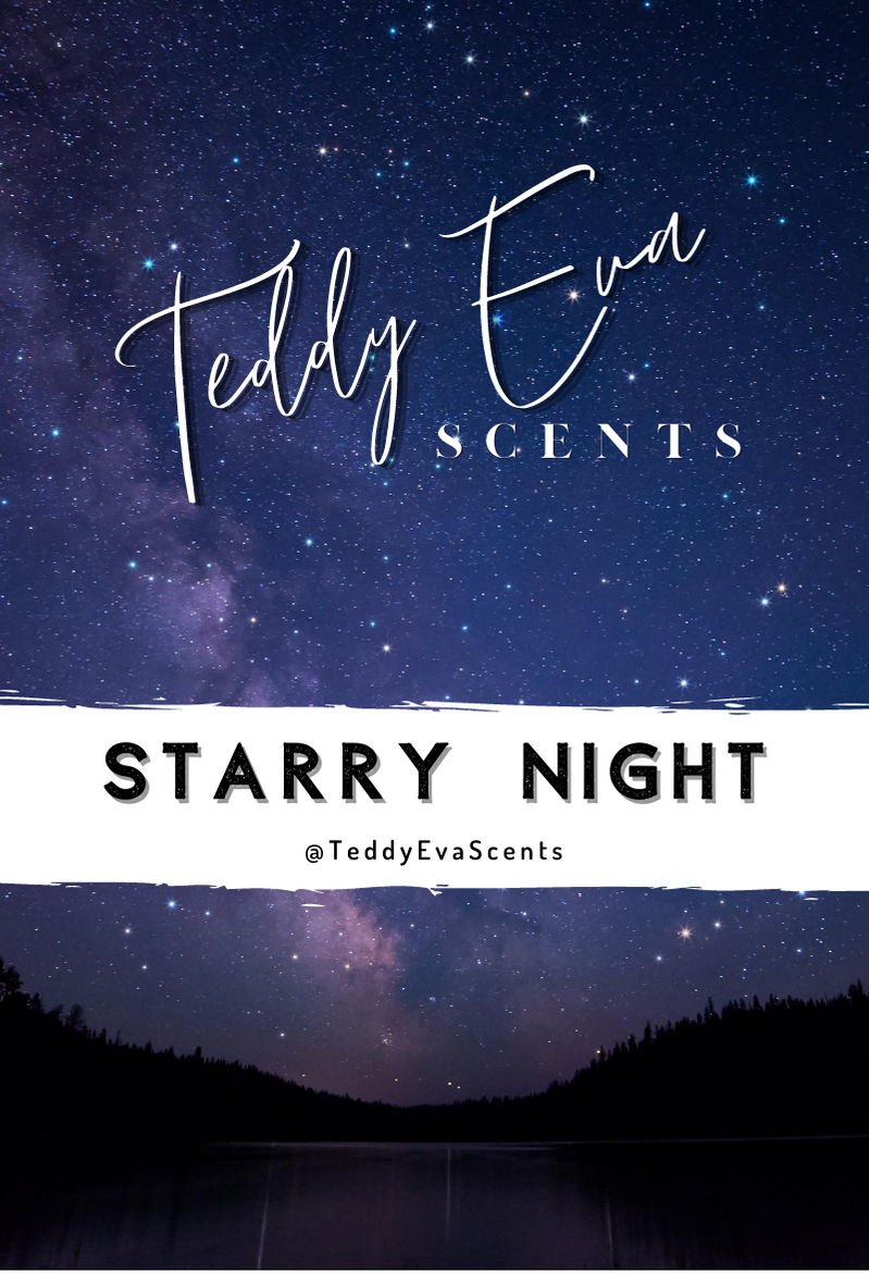 Starry Night Teddy Clamshell