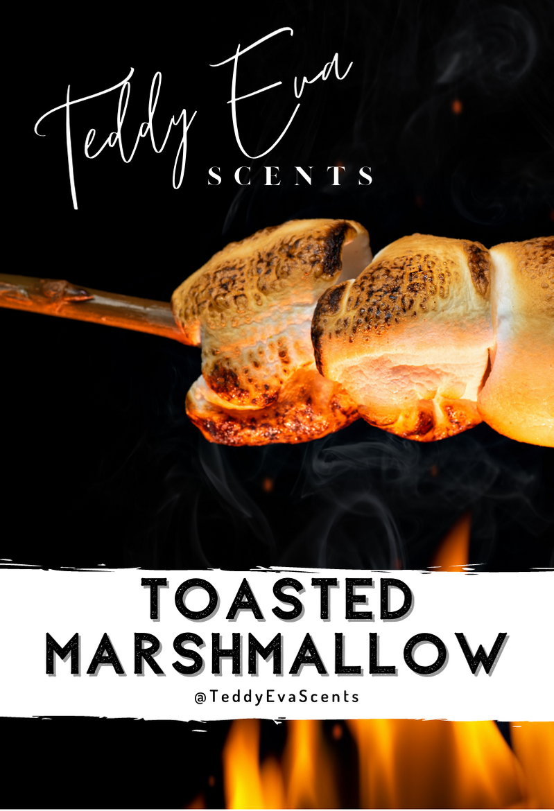 Toasted Marshmallows Teddy Clamshell