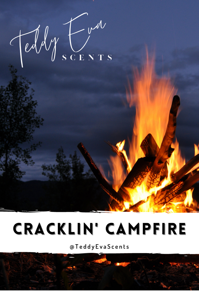 Cracklin' Campfire Teddy Clamshell
