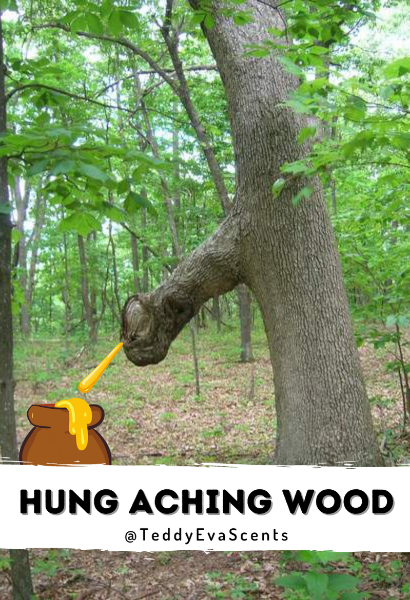 Hung Aching Wood Cockshell