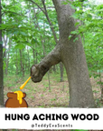 Hung Aching Wood Cockshell