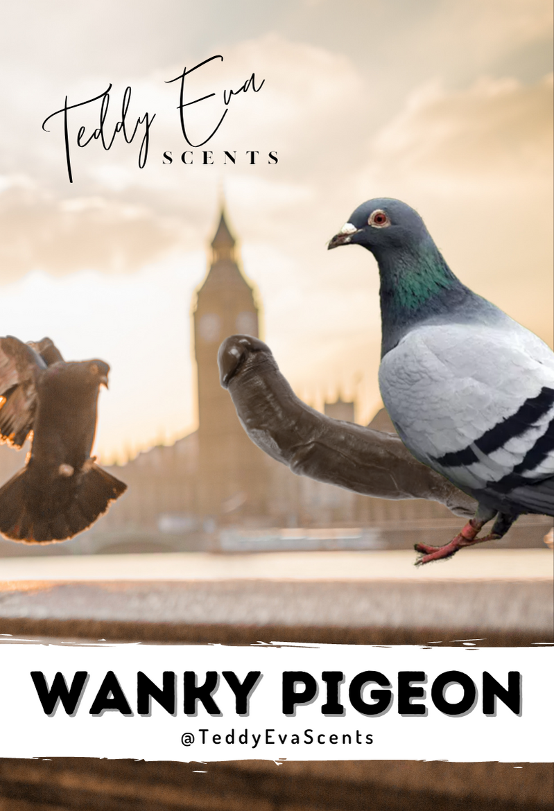Wanky Pigeon Cockshell